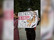 «Калининград против жестокости»: почему городские активисты призывают бойкотировать цирки