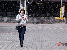 Wildberries выступил против обязательной аутентификации продавцов