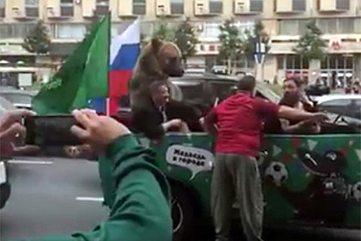 Медведь в Москве напугал американцев антисемитским жестом