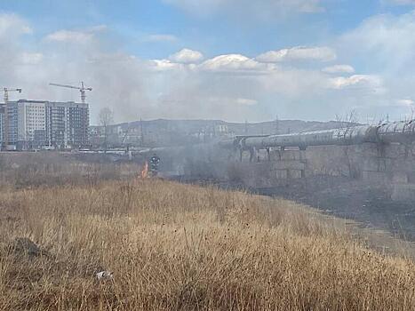 В городе Петровск-Забайкальский загорелась трава