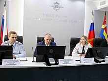 В Калининграде мошенник пытался обмануть местную жительницу через Skype