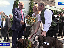 Wedding Crasher! President Putin Steals Dance With Austrian Foreign Minister Karin Kneissl