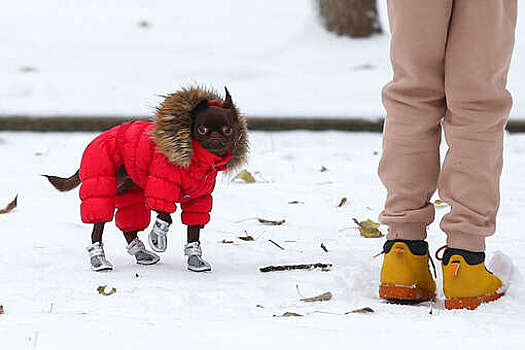 Синоптик Вильфанд спрогнозировал кратковременное потепление в Москве