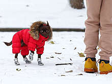 Гидрометцентр спрогнозировал облачную погоду и до 7 градусов мороза в Москве