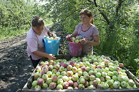 Порядок созыва собрания сельхозкооператива изменят