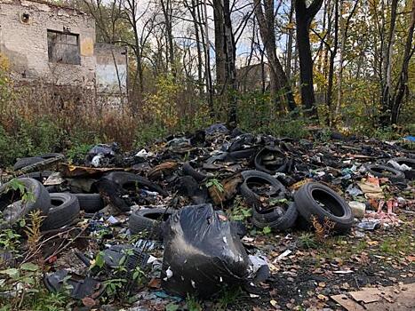 Цемент, ртуть, мышьяк и строительный мусор: как Невскому району решить проблему со свалками