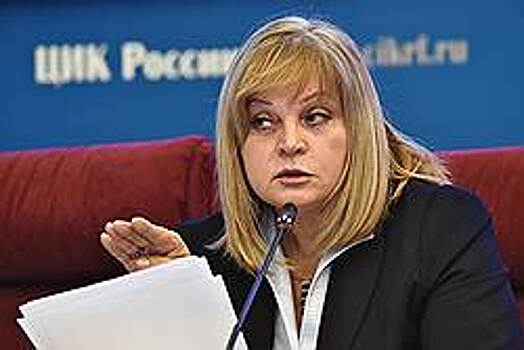Глава ЦИКа выделила экспертам управление