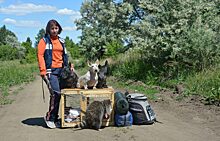 Пара из Челябинска путешествует с енотом и тремя собаками