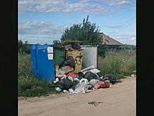 В Омской области деревня Окунево превращается в мусорную свалку