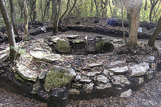 Россиянам предложат раскопать Татарское городище