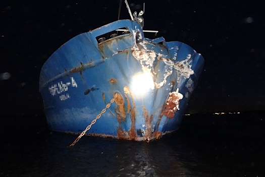 Уснул за штурвалом: под Сызранью корабль с зерном врезался в берег