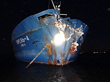 Уснул за штурвалом: под Сызранью корабль с зерном врезался в берег