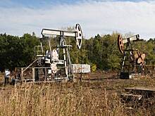 В России изменили сроки выхода на сокращение добычи нефти