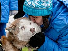 Лучший друг человека: собаки помогают жителям социальных домов стать общительнее и счастливее