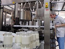 В Кузбассе усилили поддержку производителей молока