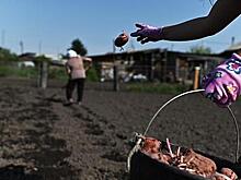 Дачников предупредили о вреде долгой работы в саду и огороде