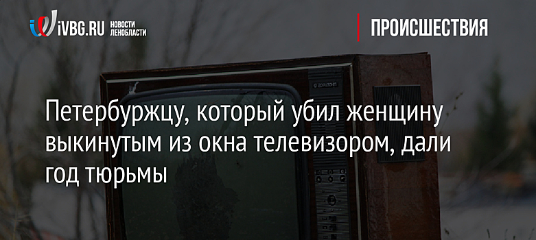 Петербуржцу, который убил женщину выкинутым из окна телевизором, дали год тюрьмы