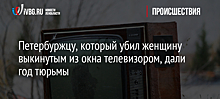 Петербуржцу, который убил женщину выкинутым из окна телевизором, дали год тюрьмы