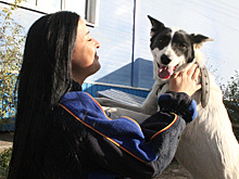 «20 мешков корма - на 20 дней»: сколько стоит содержать приют для животных в Благовещенске