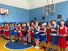 В Электрогорске прошли соревнования по боксу на призы главы округа