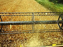 Украинскую землю распродадут через интернет