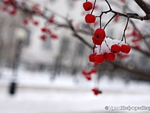 В Свердловской области ожидаются мокрый снег и гололед