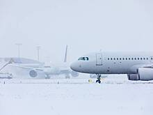 В российских аэропортах зафиксированы массовые задержки рейсов