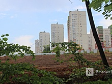 Элада Нагорная вышла из состава учредителей нижегородского застройщика