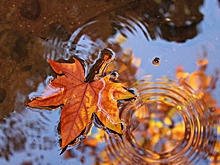 Дождь ожидается в Нижнем Новгороде на рабочей неделе