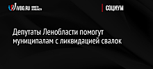 Депутаты Ленобласти помогут муниципалам с ликвидацией свалок