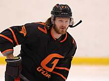 Иван Телегин: «Сибирь» хотела устроить нам шугу-пугу. Но «Авангард» придерживался своей игры и победил»