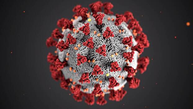 Британские врачи назвали заметное на коже проявление «омикрон»-штамма коронавируса