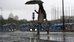 Сильный дождь с грозой и ветром обрушился на Москву