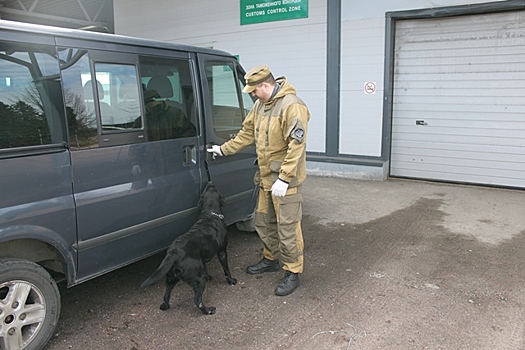 Собаки Выборгской таможни учуяли на границе с Финляндией почти 5 млн рублей