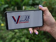 Расшифровка результатов выборов в Москве займет некоторое время