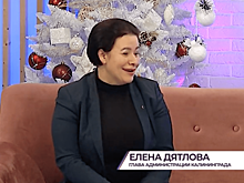 Глава администрации Калининграда предложила соединить Портовую и будущую платную дорогу к заливу
