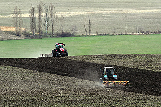 Производители сельхозпродукции отметили проблемы с получением господдержки