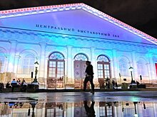 Сокровища морей, световые шоу и встреча с Шепардом Фейри: чем заняться на неделе