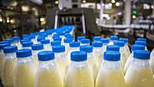 Россия перенесла введение мер против белорусского молока