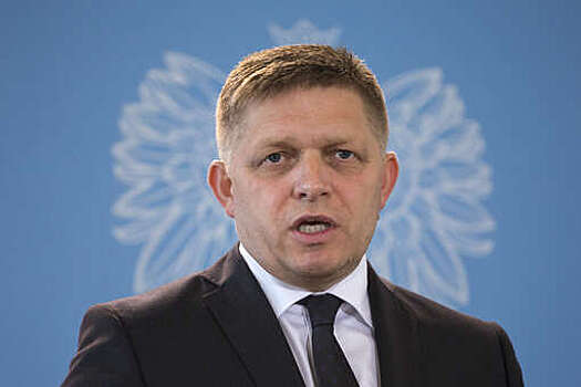 Dennikn: на формирование правительства Словакии у партии Smer есть 14 дней