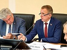Сенатор заявил о необходимости наделения ДОСААФ статусом госавиации