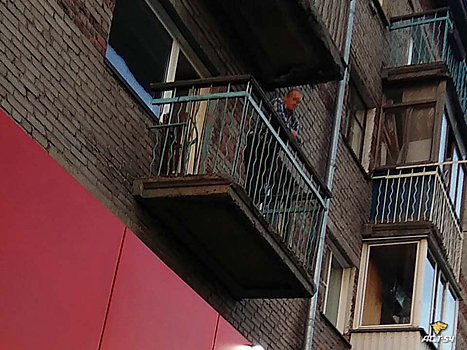 Пьяный новосибирец метнул кошку с балкона