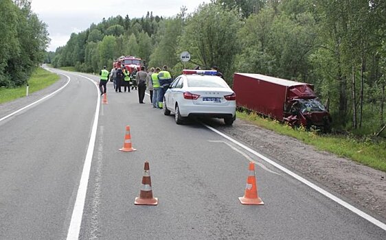 Водитель грузовика погиб в Карелии после съезда в кювет