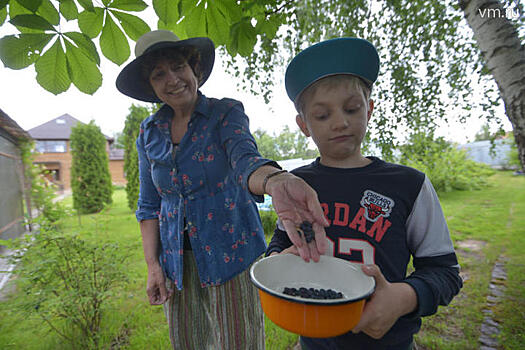 За городом, но с комфортом