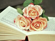 Как правильно читать книги