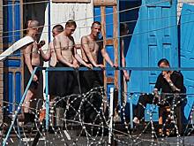 Плантация конопли, релакс-салон и табачная фабрика. Роскошная жизнь российских заключенных: что скрывают стены колоний?