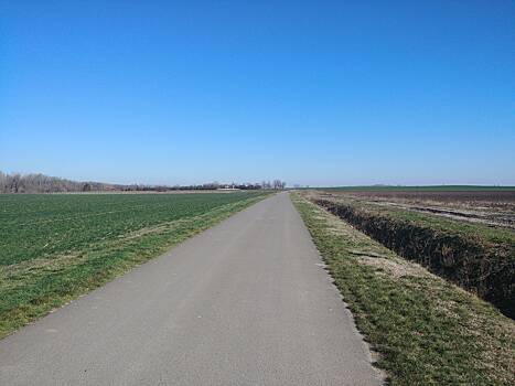 В Калужской области планируют закупить 44 тыс. тонн агрохимикатов