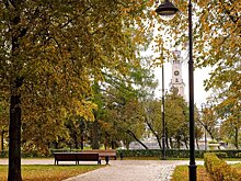 Синоптик Леус: переход осени в фазу предзимья в Москве не ожидается в ближайшие недели