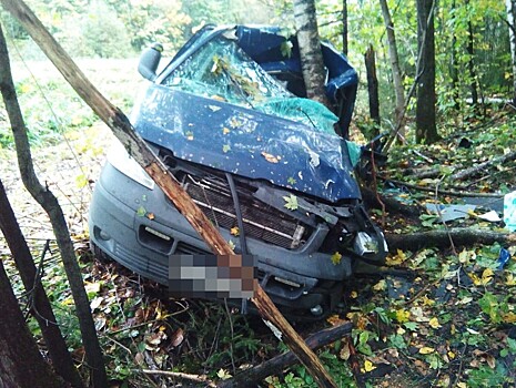 В Тверской области уснувший водитель вылетел в кювет