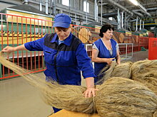 В Удмуртии могут пересмотреть арендные ставки на землю для бизнеса